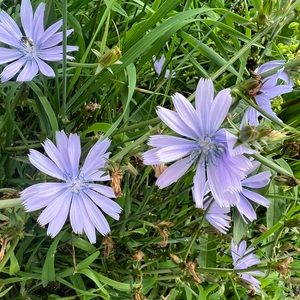 Offers are welcome!!